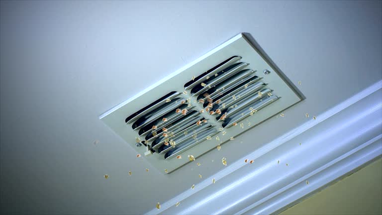 Best Affordable Air Duct Cleaning  in Hedwig Village, TX